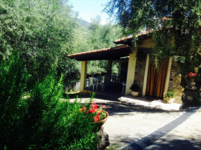 B&B L'Uliveto